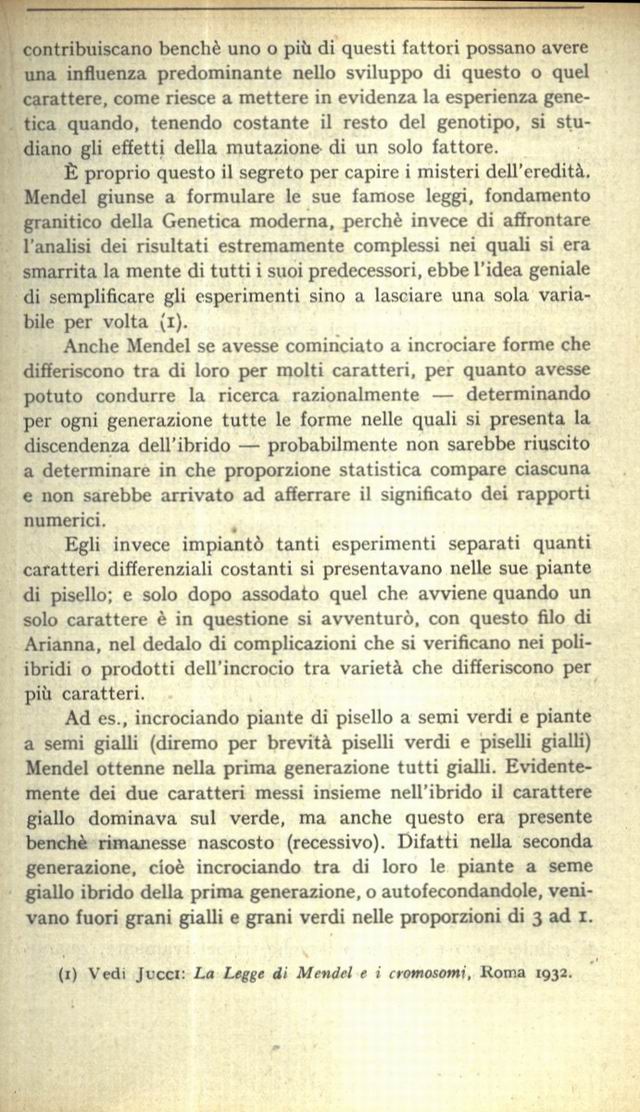 1900119.jpg
