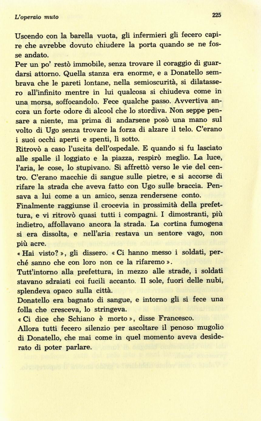 0800225.jpg