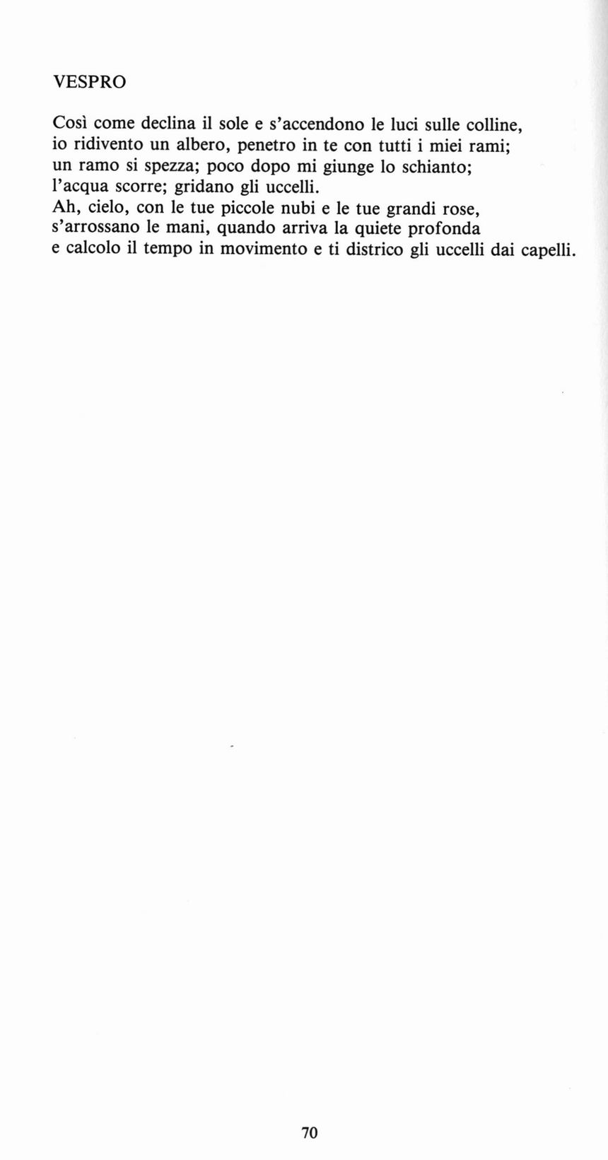 0300070.jpg