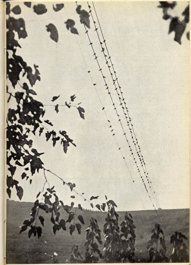 0100191.jpg