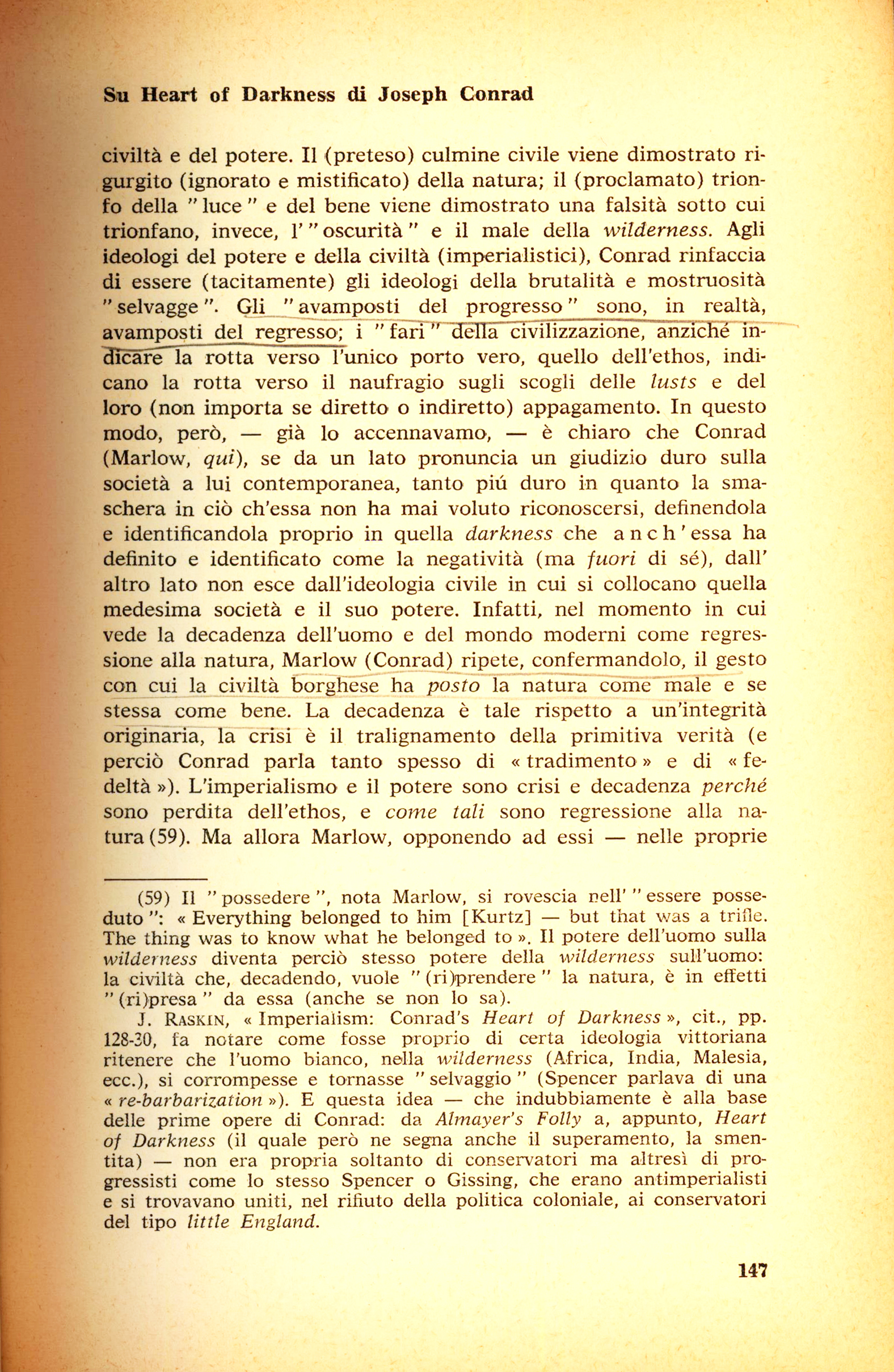 147.jpg