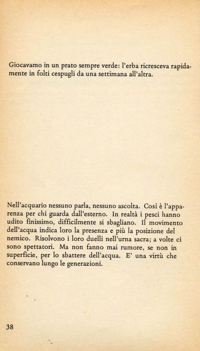 0200038.jpg