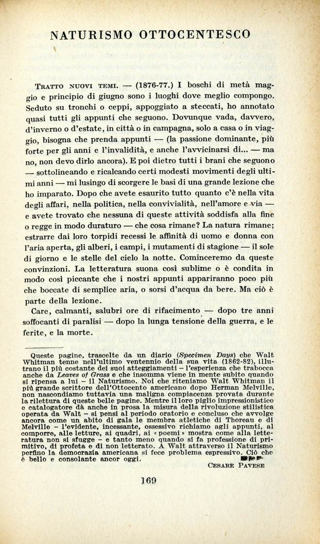 0900169.jpg