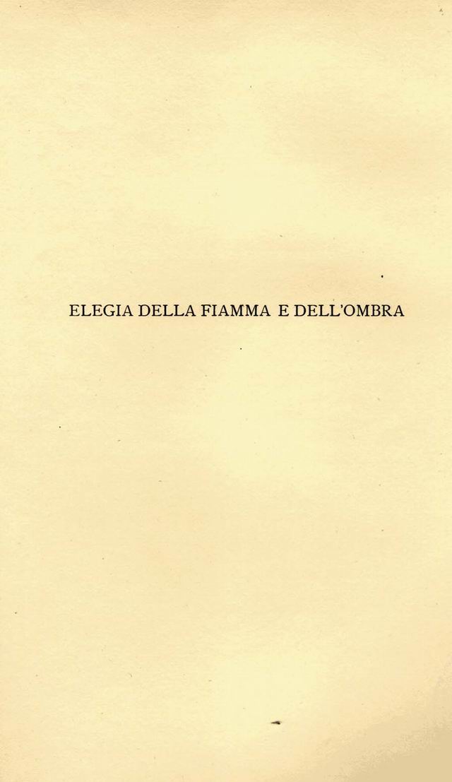 1200943.jpg
