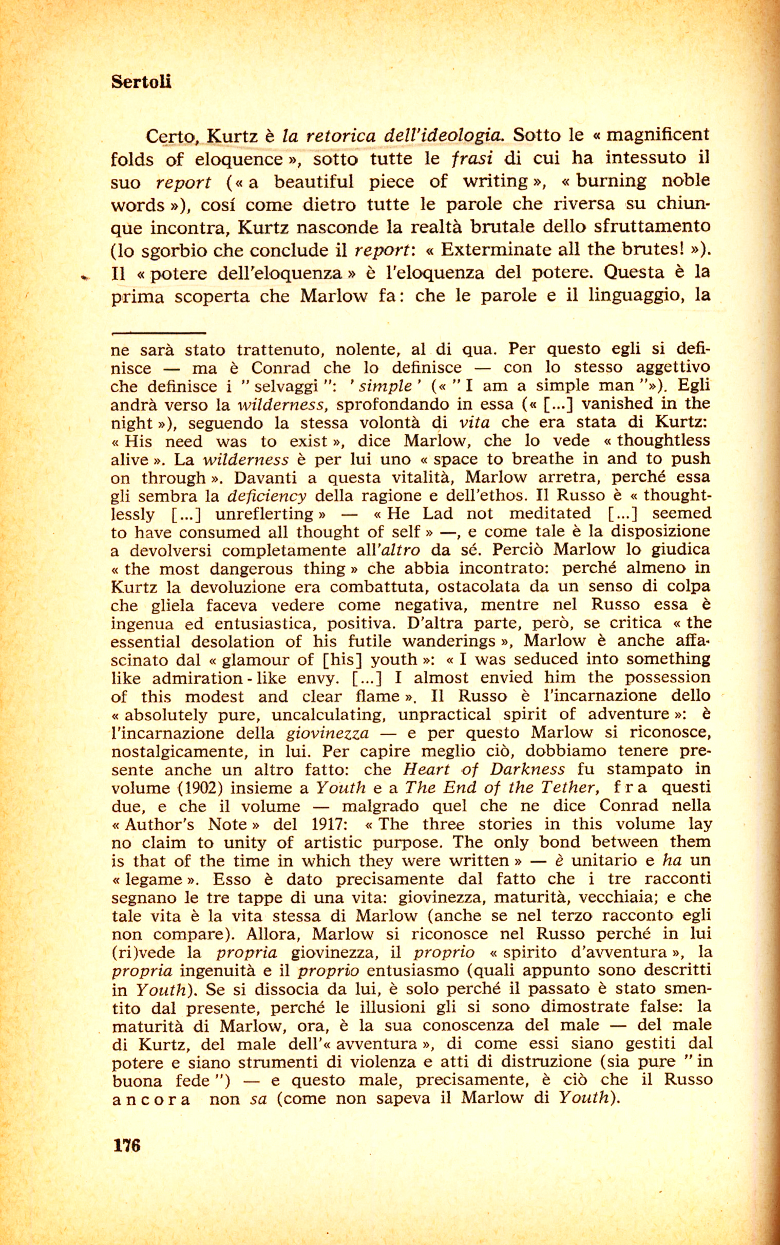 176.jpg