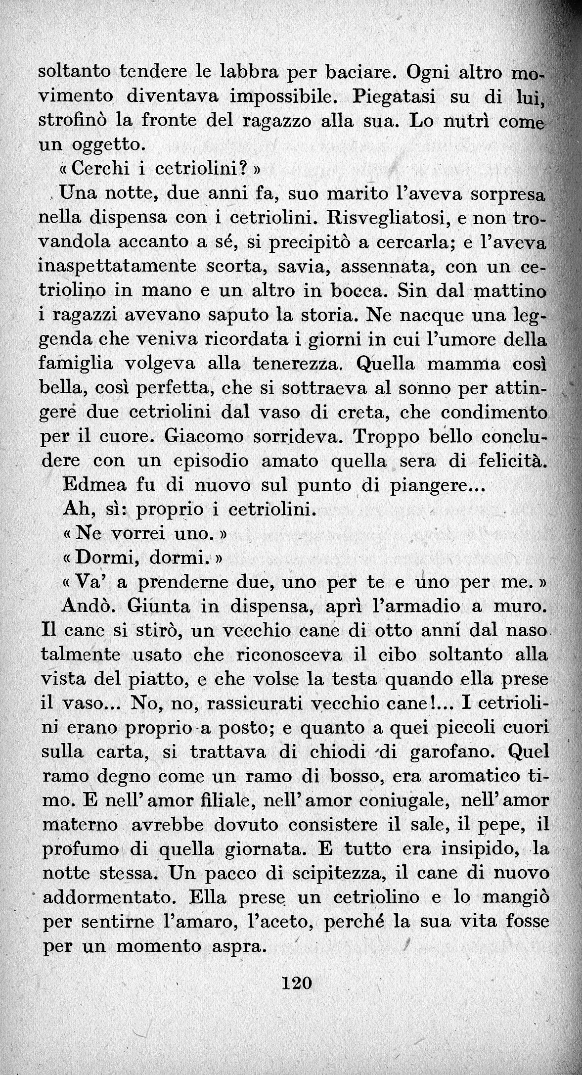 0200120.jpg