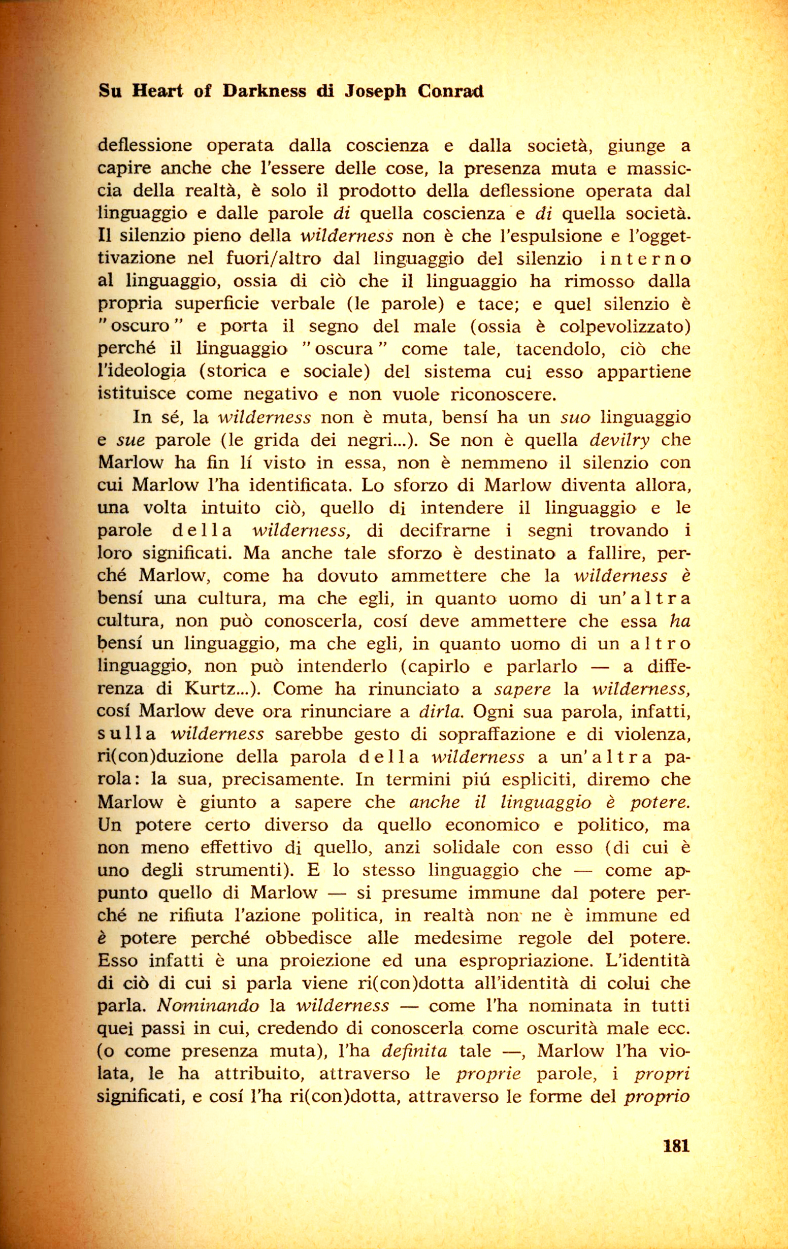 181.jpg