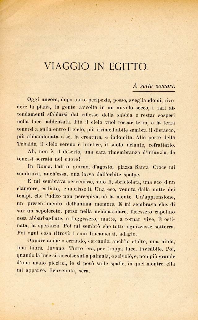 0900259.jpg