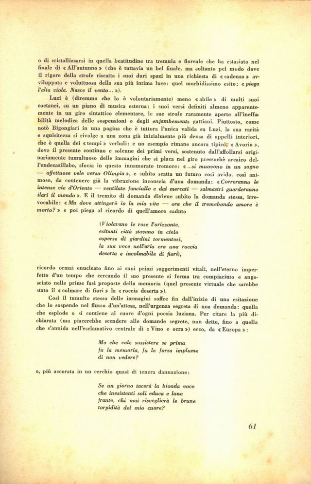 0200061.jpg