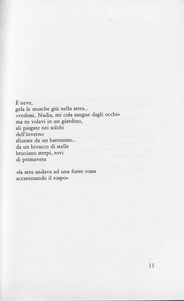 0200013.jpg