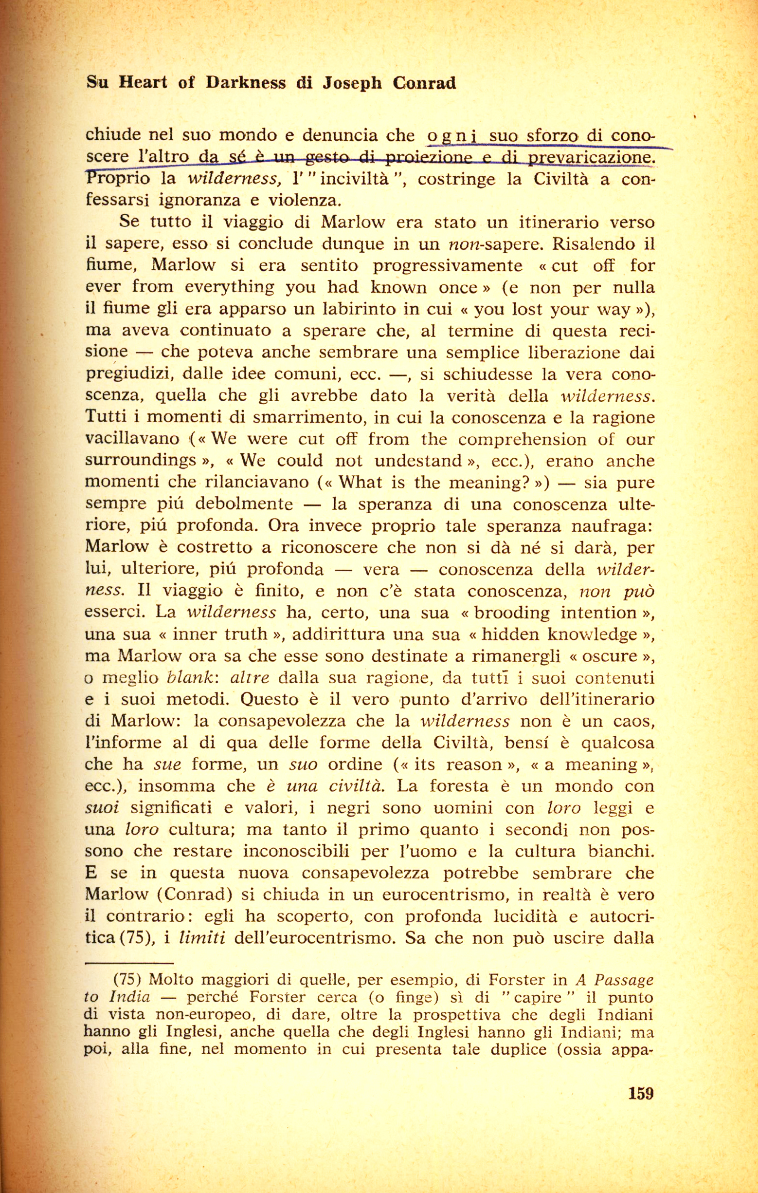 159.jpg