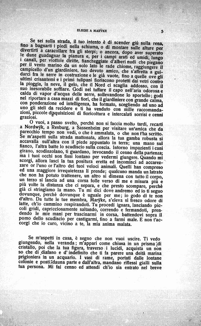unico00005.jpg
