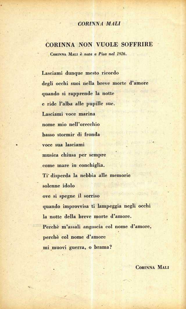 3600084.jpg
