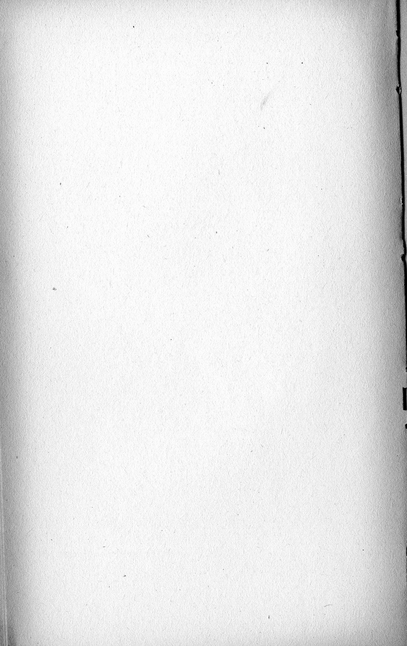 0300010.jpg
