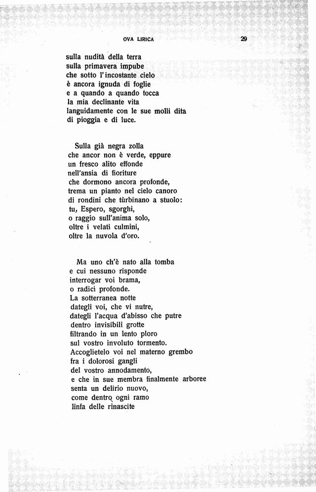 unico00029.jpg