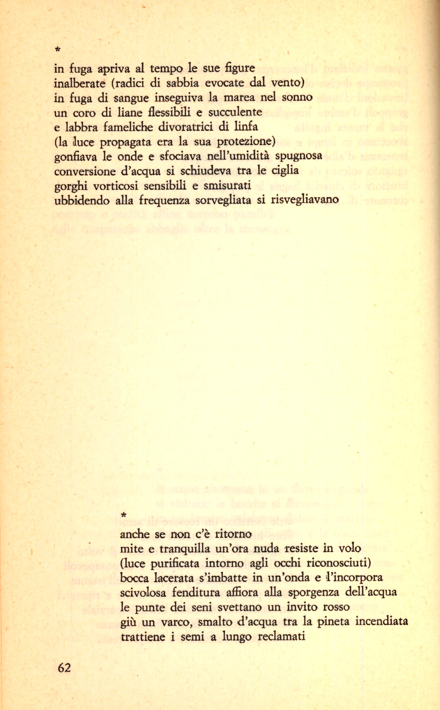 062.jpg