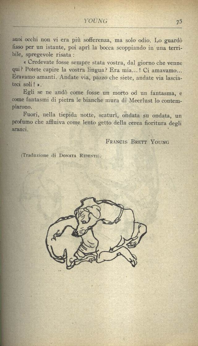 1500075.jpg