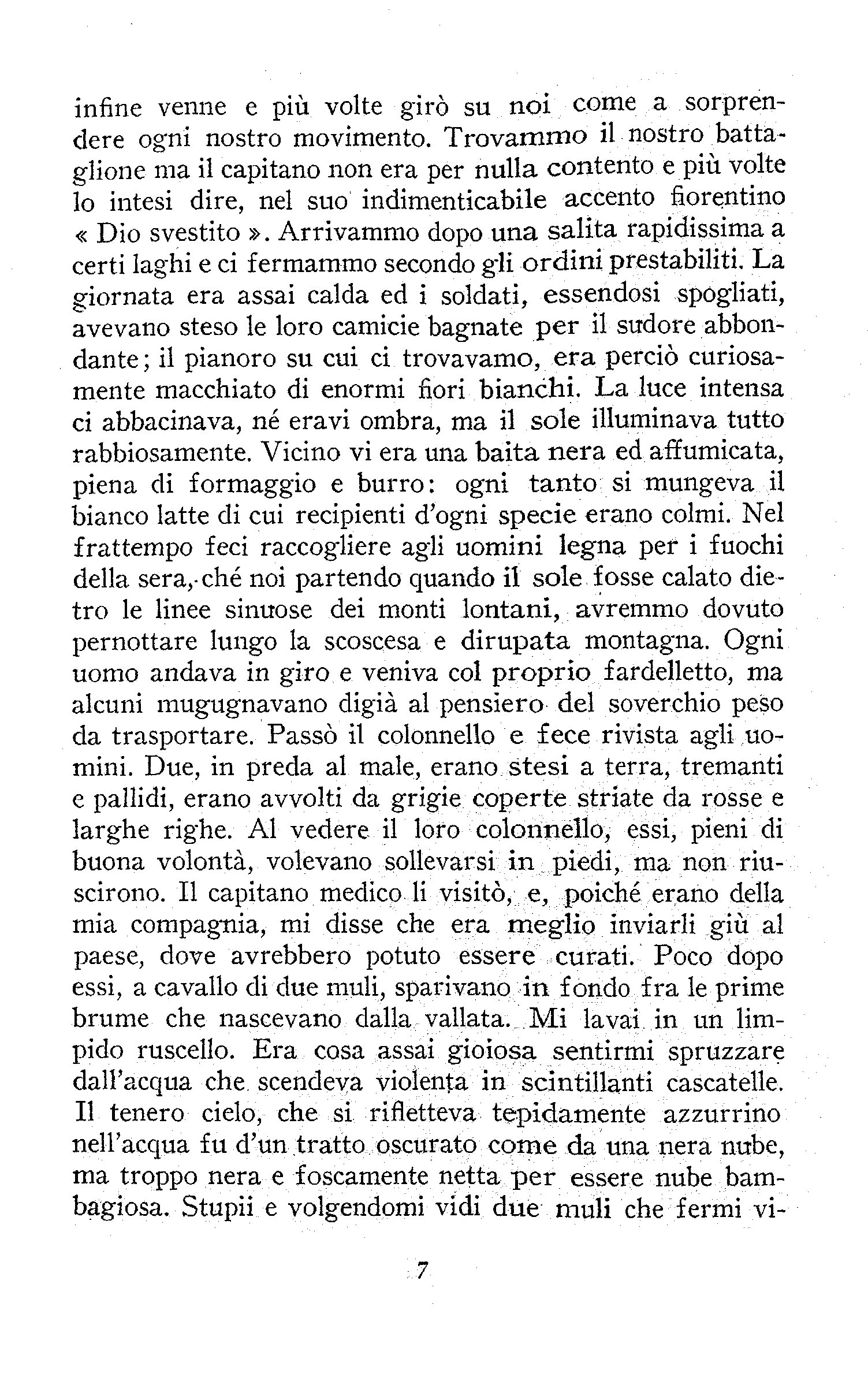 1200007.jpg