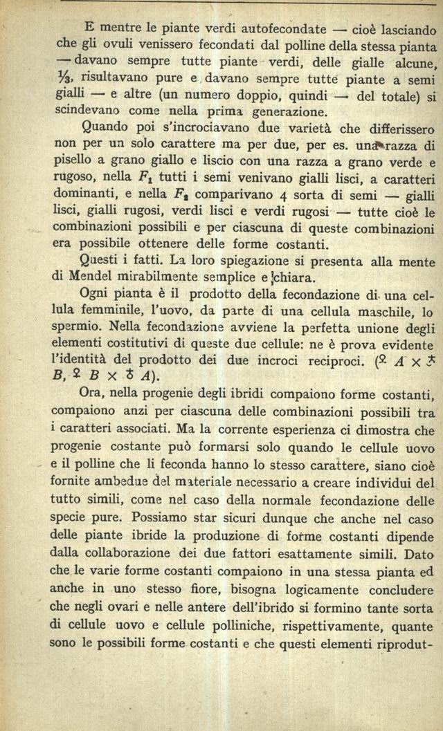 1900120.jpg