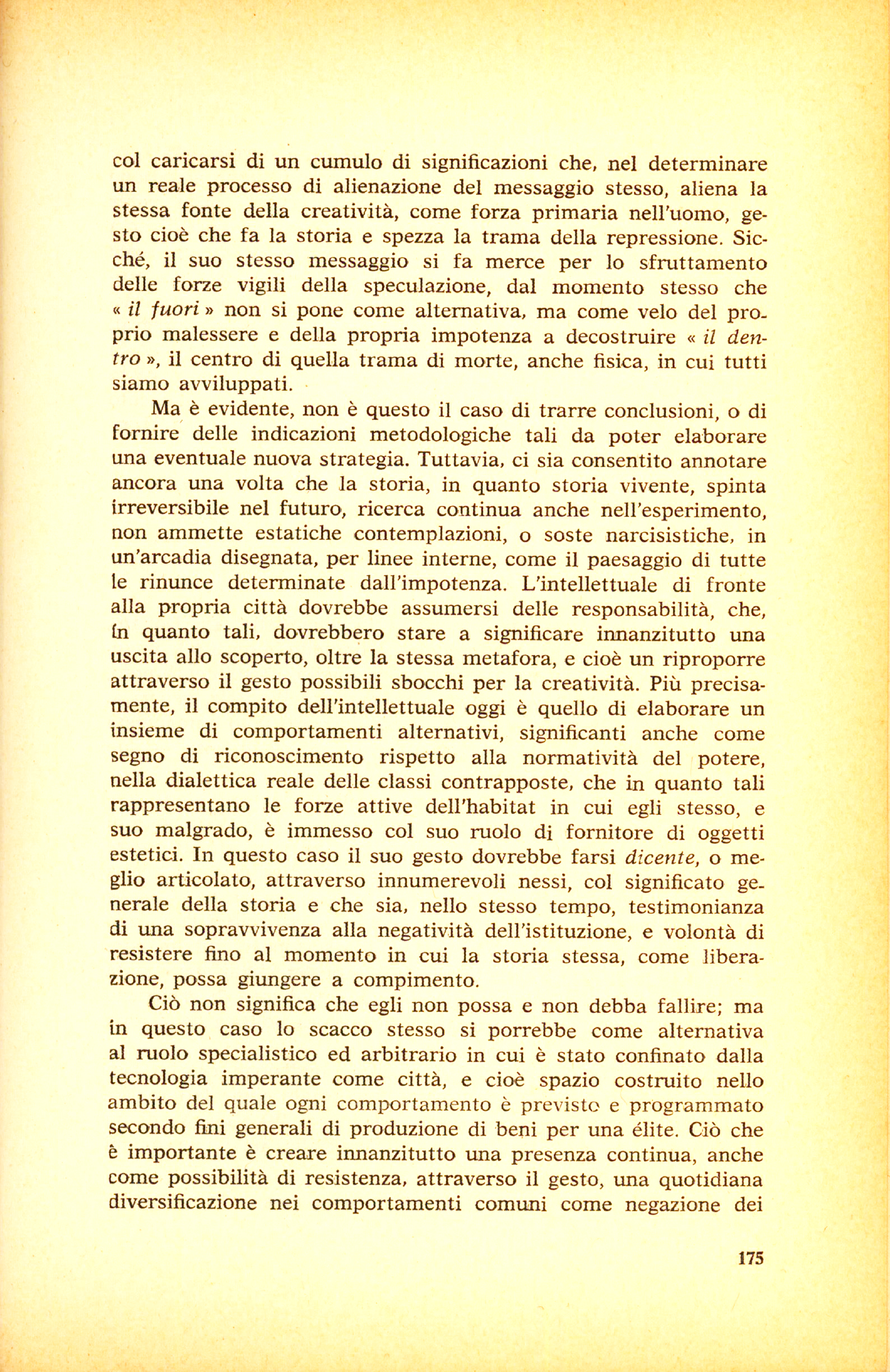175.jpg