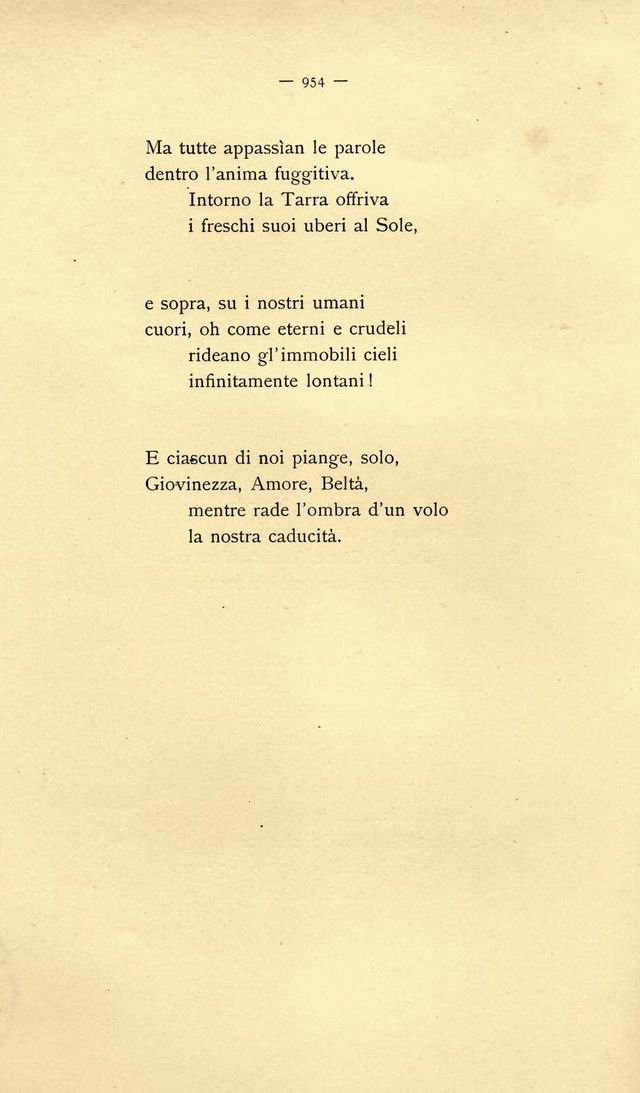 1200954.jpg