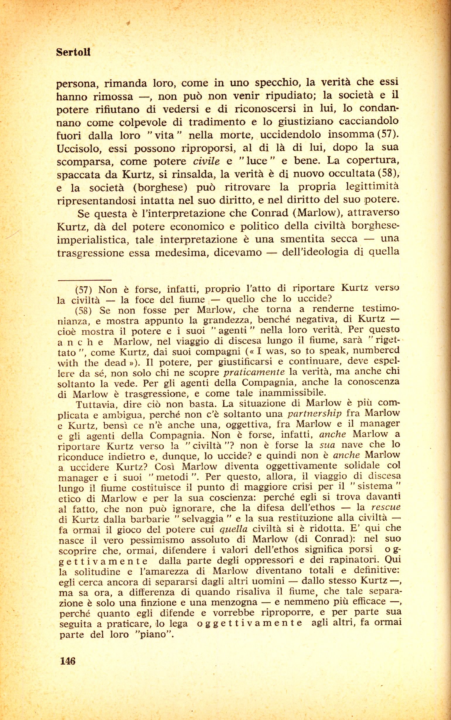 146.jpg