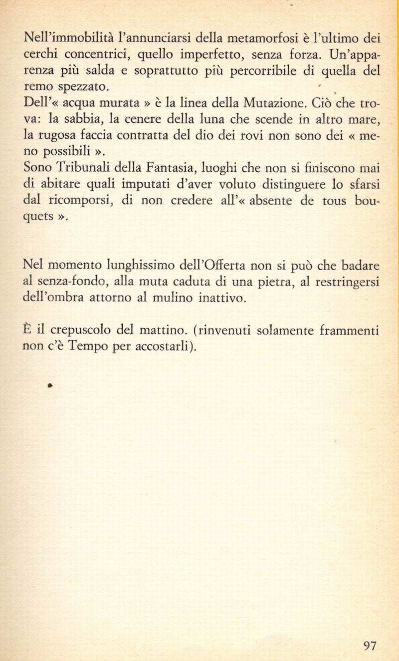 0500097.jpg
