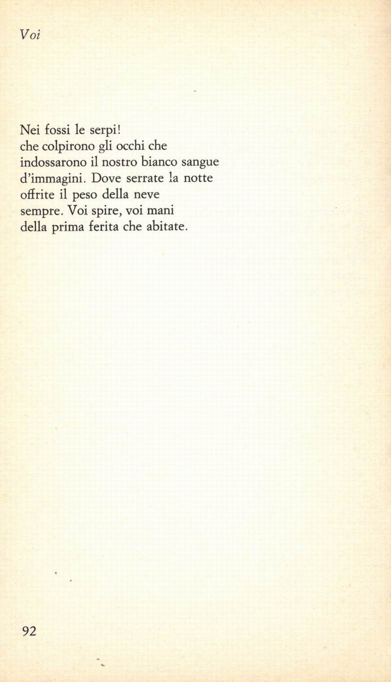 0800092.jpg