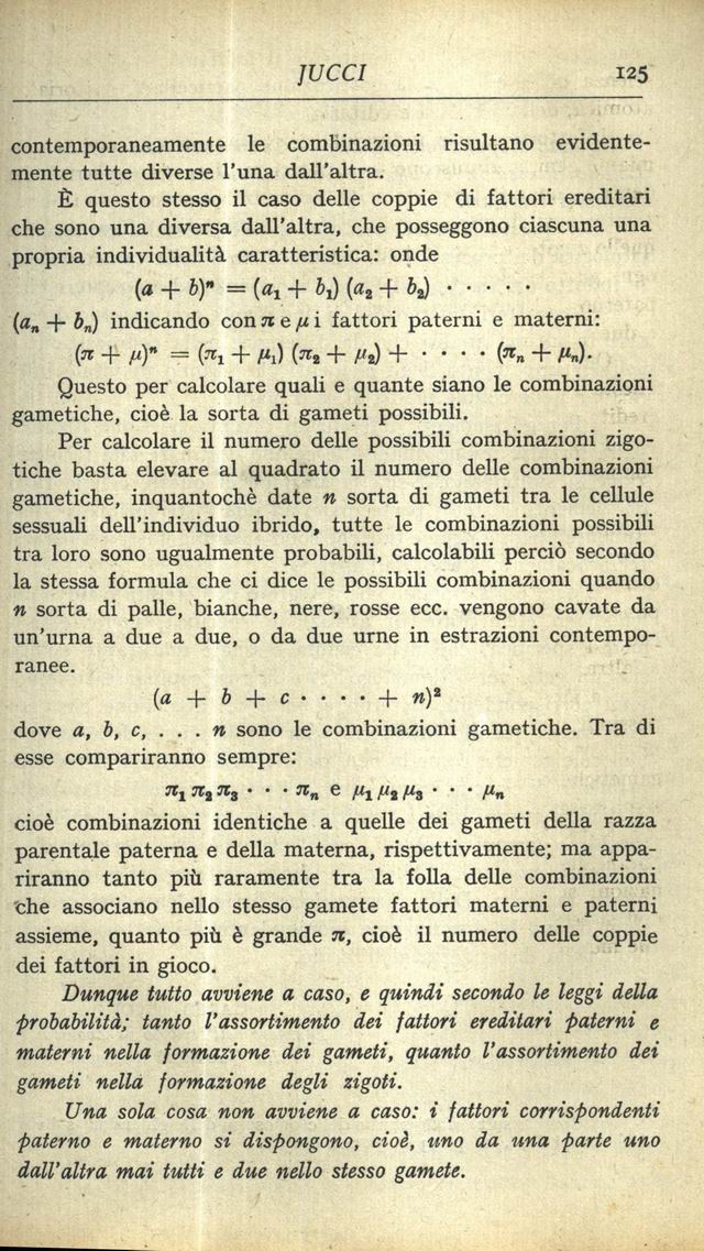 1900125.jpg