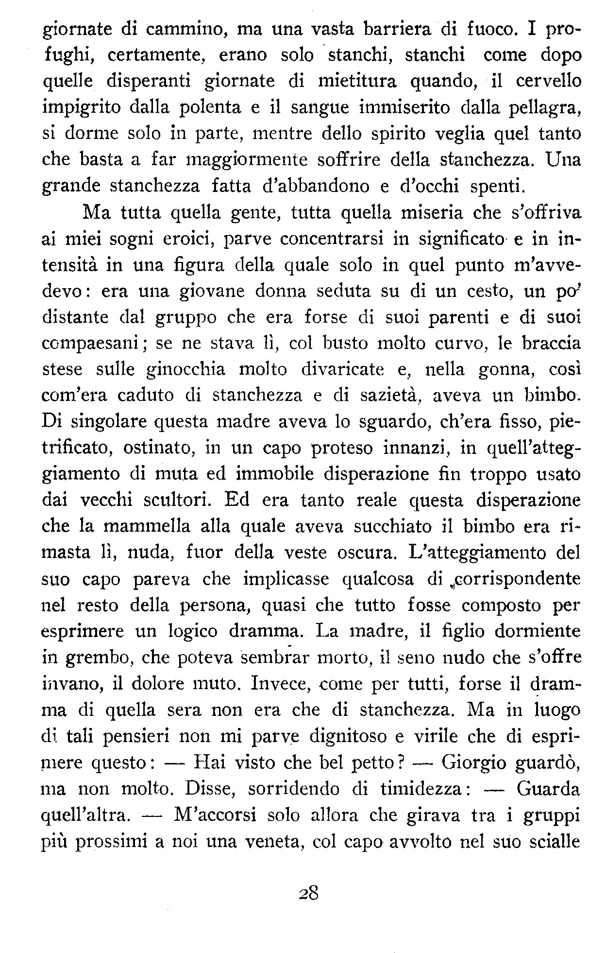 1200028.jpg