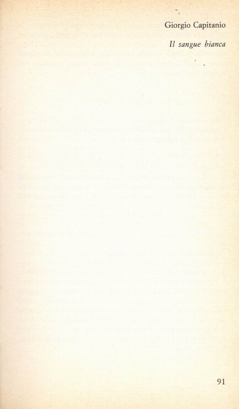 0600091.jpg