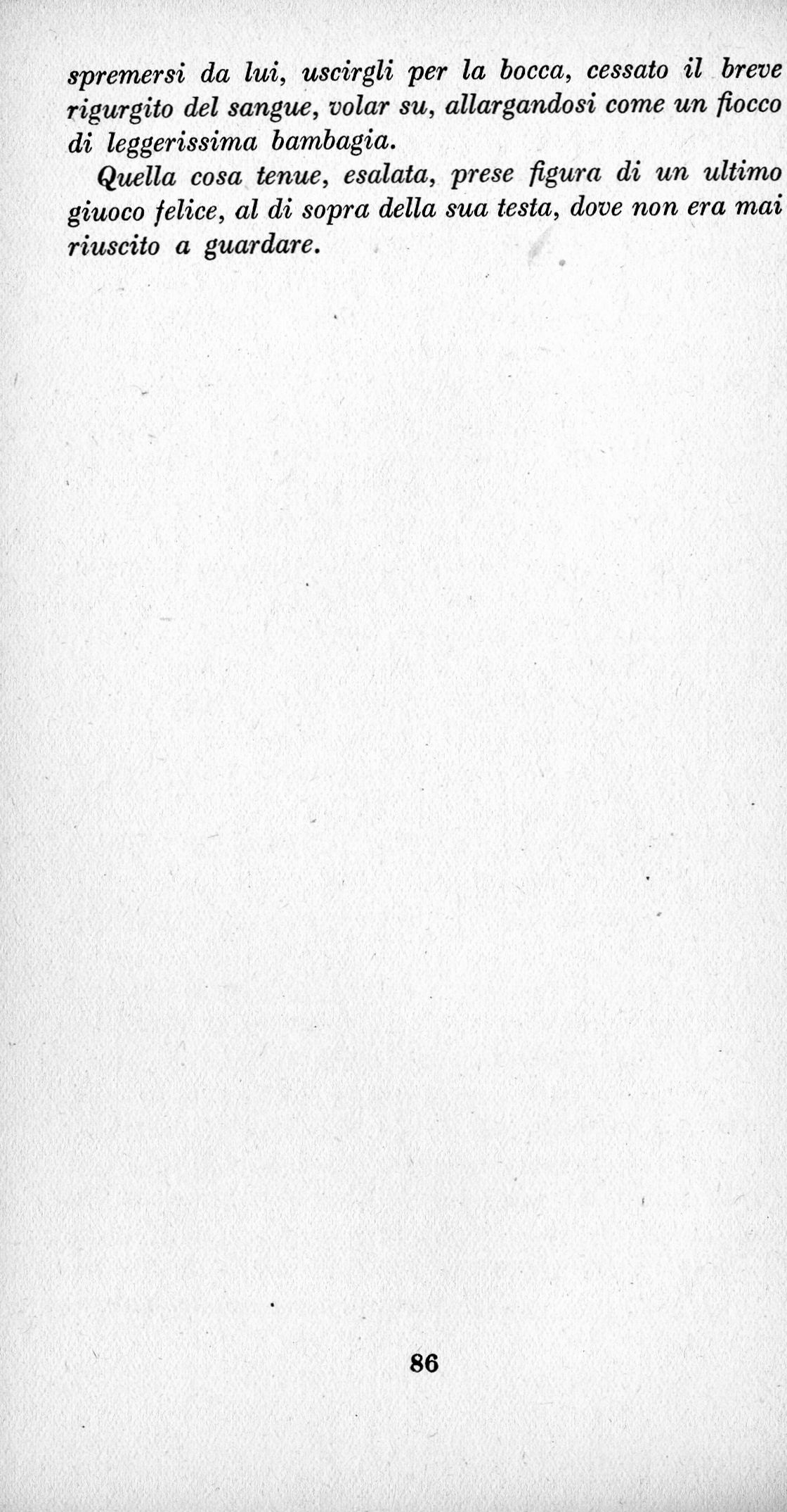 0300086.jpg