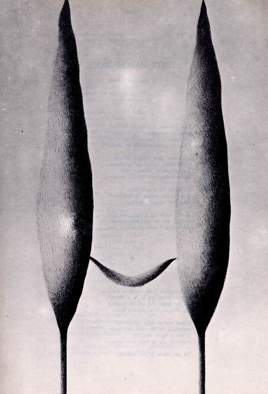 0100037.jpg