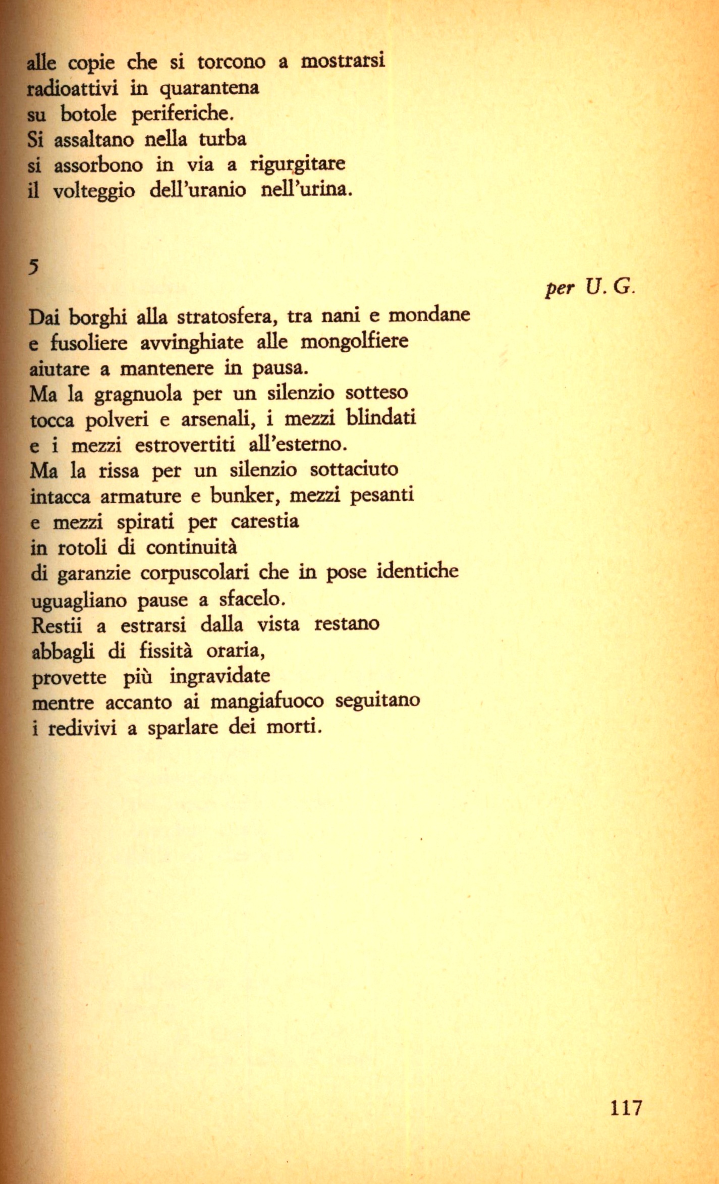 117.jpg