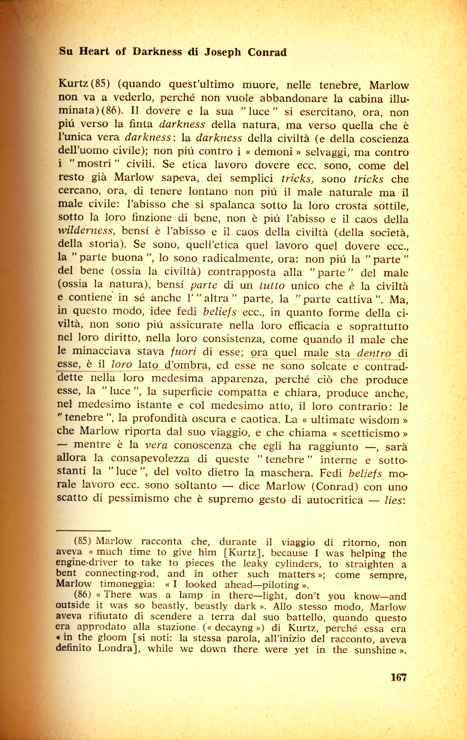 167.jpg