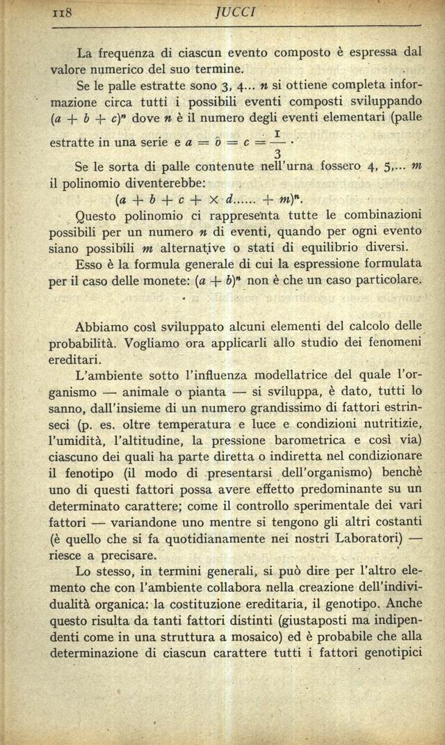 1900118.jpg