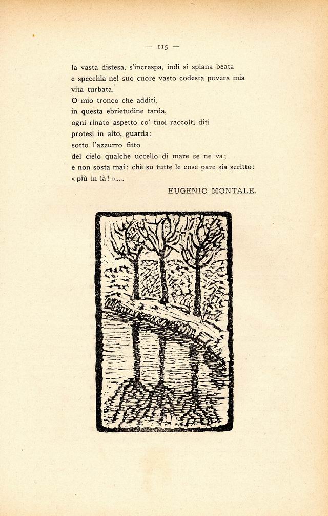 0400115.jpg