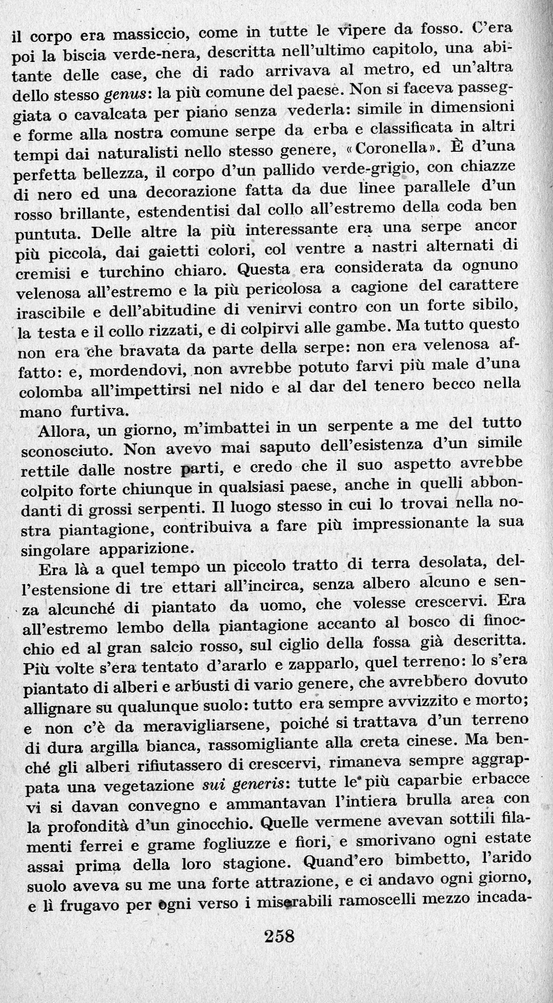 0200258.jpg