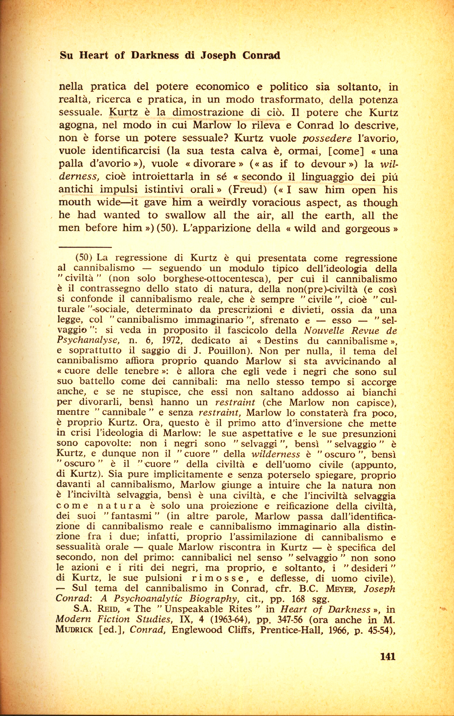 141.jpg