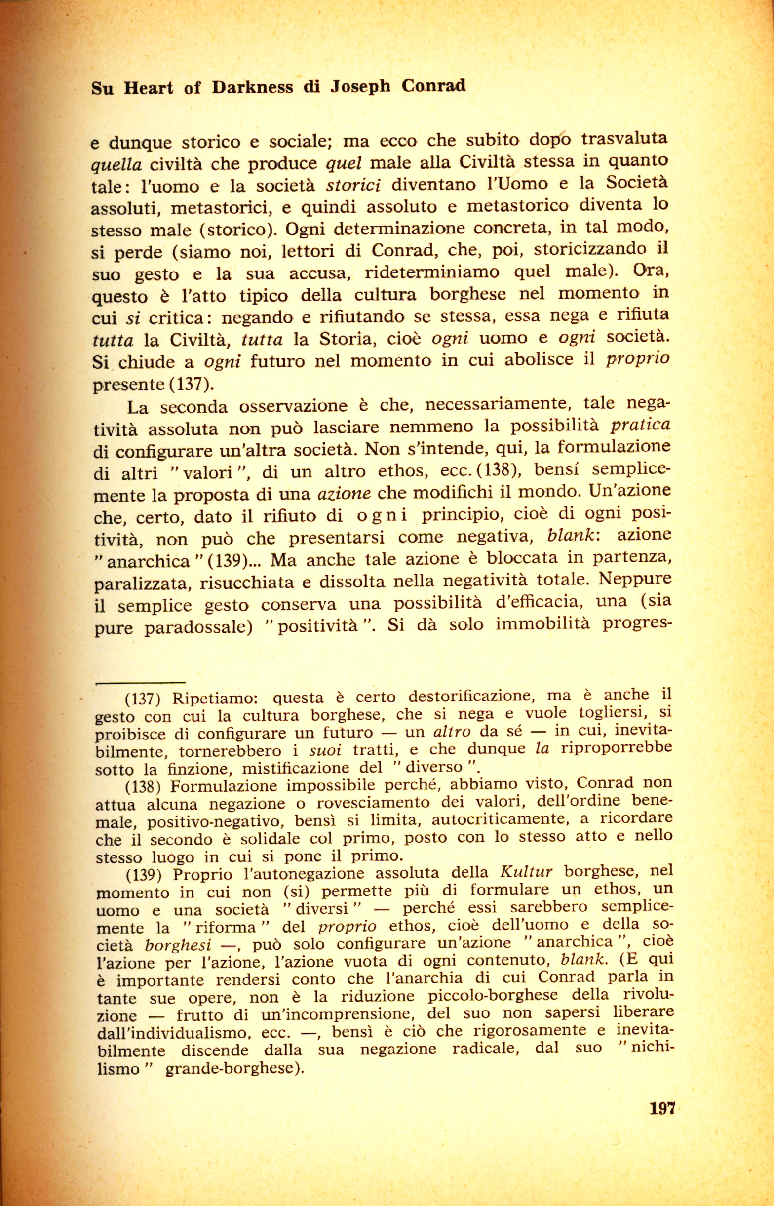 197.jpg