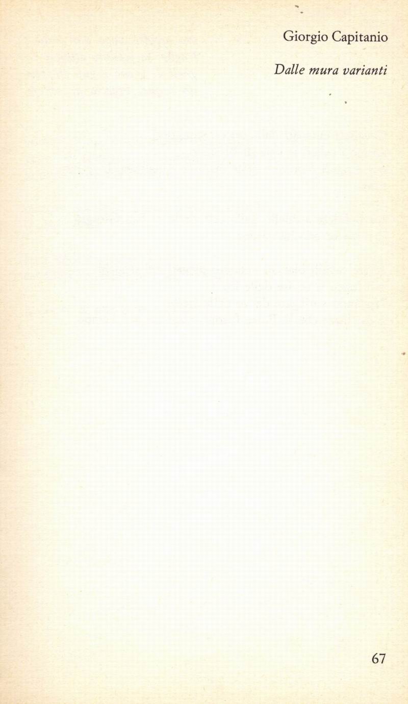 0800067.jpg