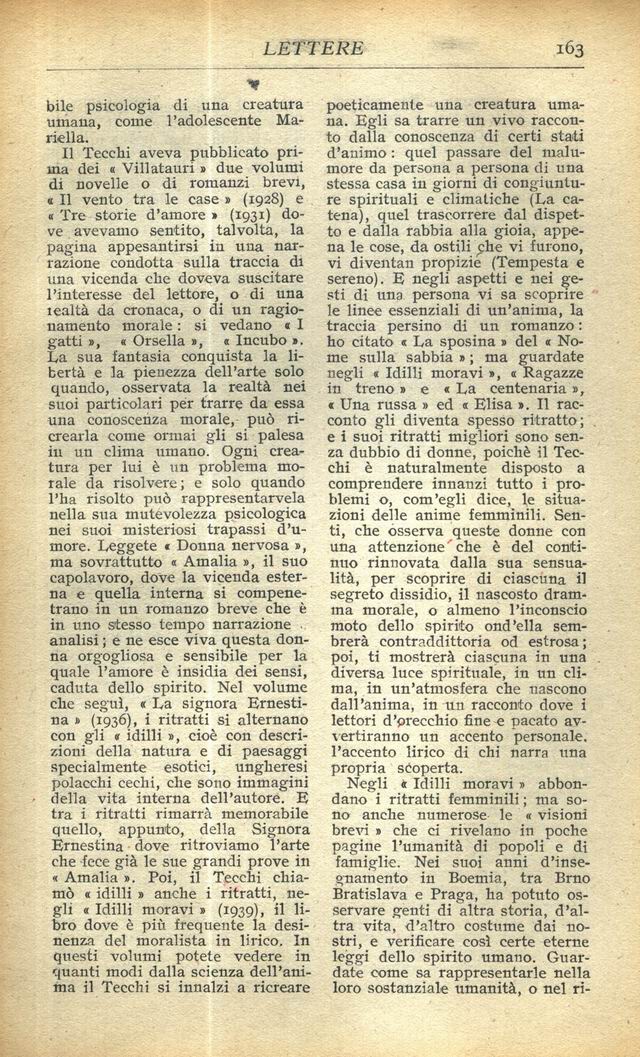1900163.jpg