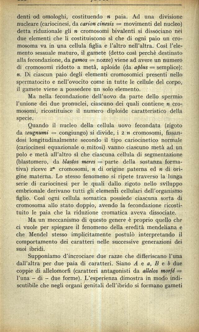 1900122.jpg
