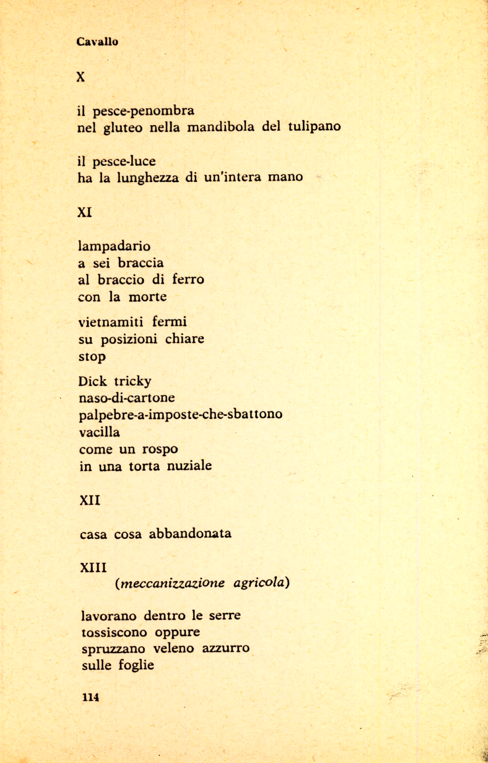 114.jpg
