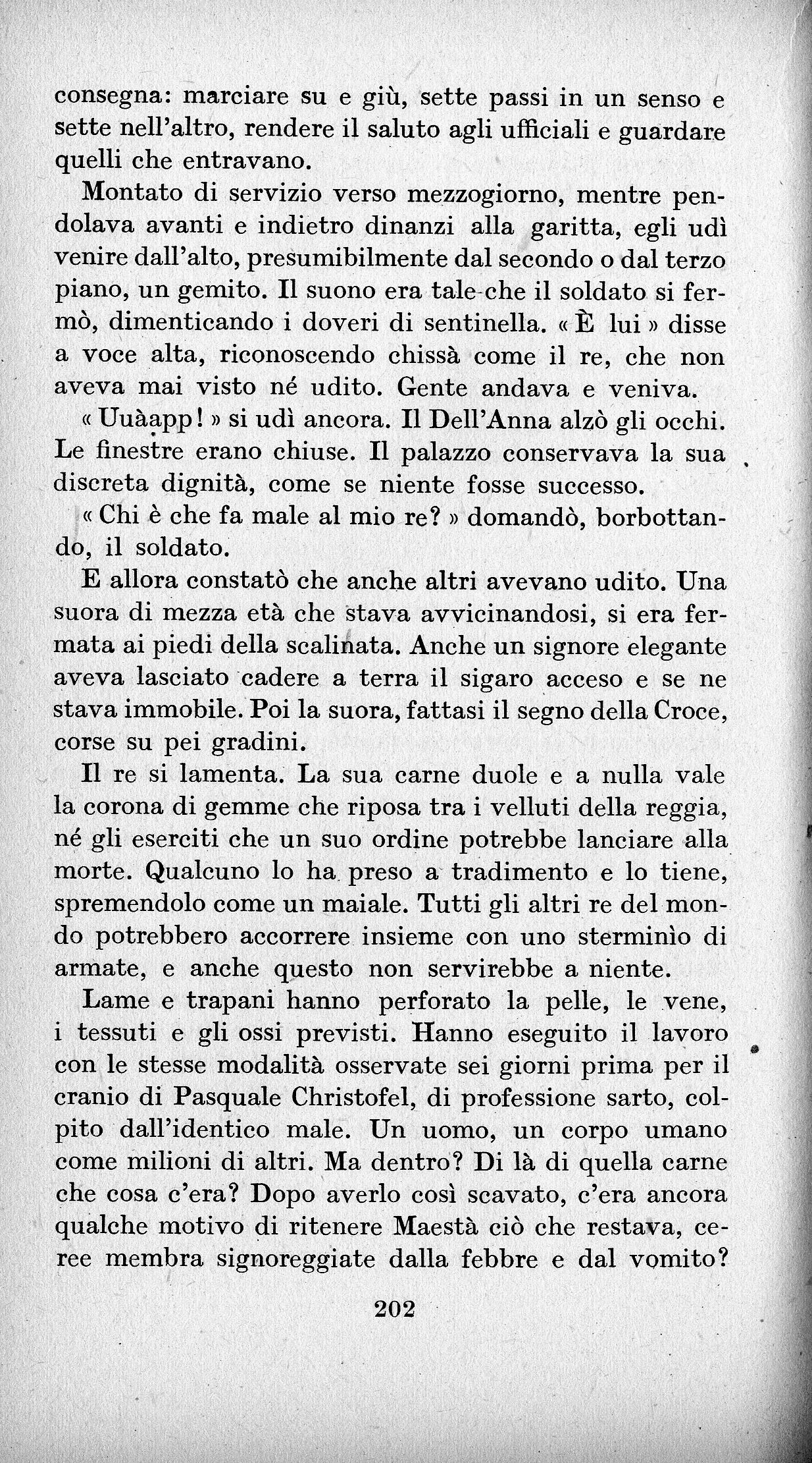 0200202.jpg