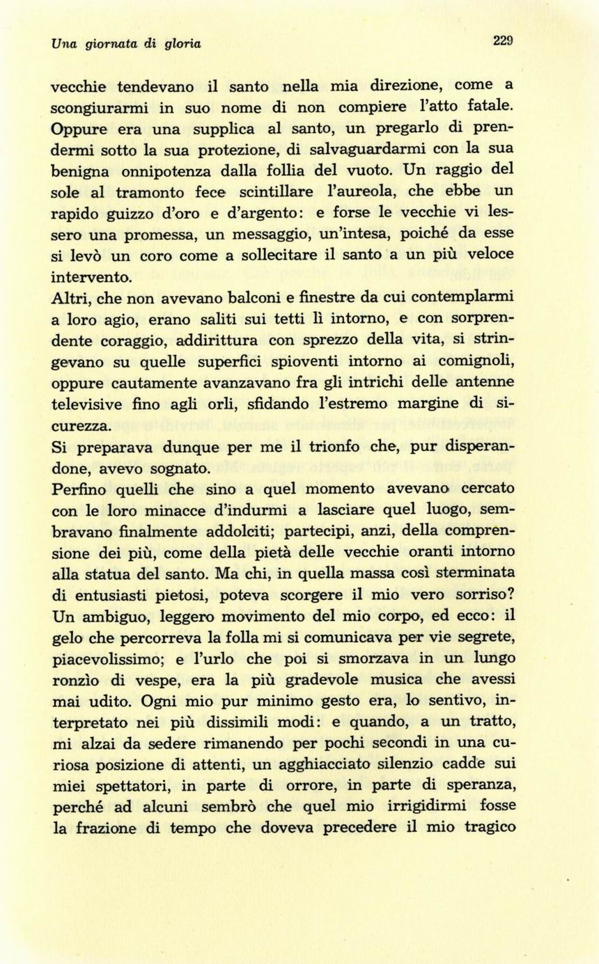 0800229.jpg