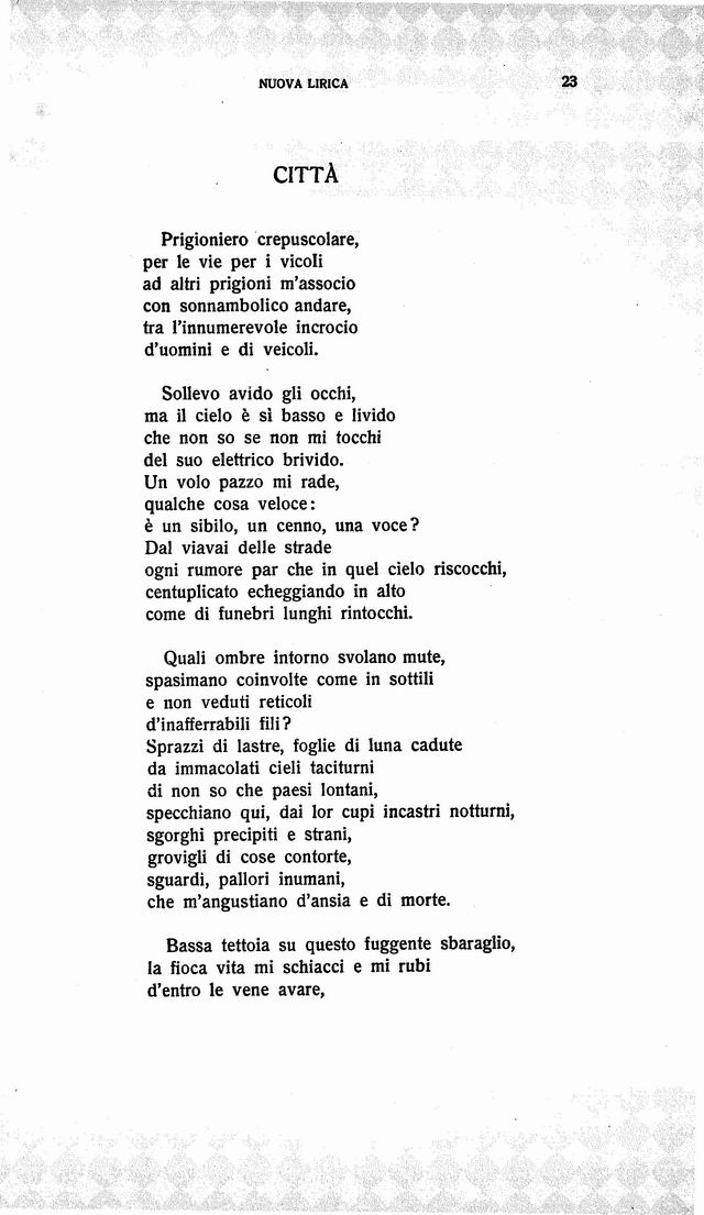 unico00023.jpg