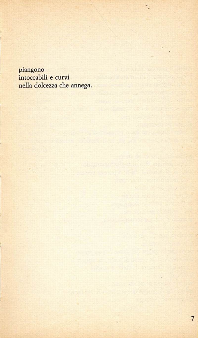 0500007.jpg