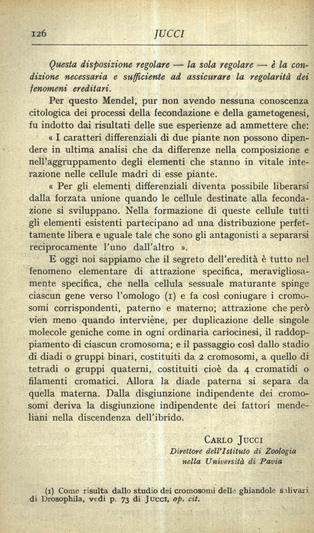 1900126.jpg