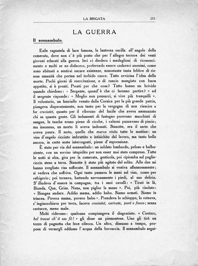1200251.jpg